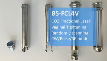 Cilt Siğillerini Giderme Fraksiyonel CO2 Lazer / Vajinal Sıkma Makinesi CE Sertifikası
