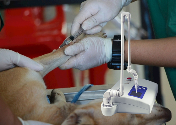 Köpekler / Hayvan Hastanesi İçin Tıbbi Alet Veteriner CO2 Fraksiyonel Lazer Makinesi