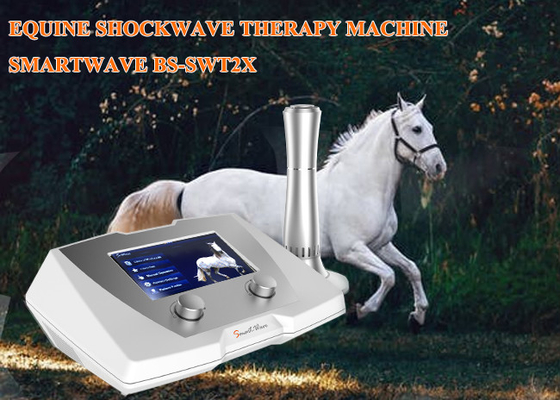 Akıllı Shockwave Terapi Ekipmanları Akustik Dalga Terapi Makinesi Tendon Yaralanması