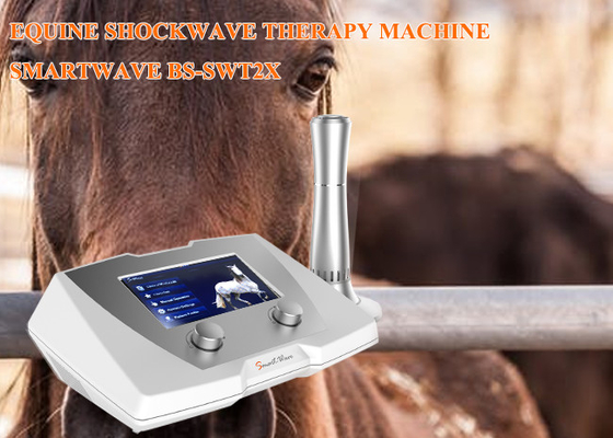 Klinik At Şok Dalgası Terapi Makinesi 1 - 22 Hz Süspansiyon Bağ Hastalığı İçin Frekans